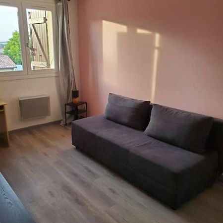 Appartement Moderne Et Equipe LʼIsle-Jourdain Exteriör bild